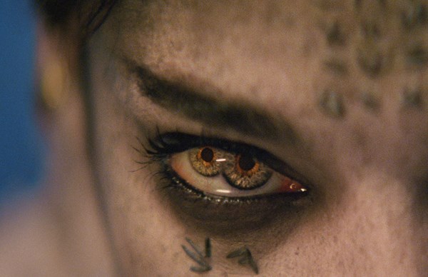 Tanweer: διανομή των οικιακών τίτλων της Universal