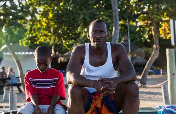 COSMOTE TV: θεματικό κανάλι για τα βραβεία Oscar